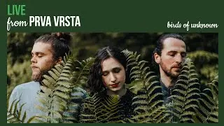 birds of unknown - Why so fast? (live from Prva Vrsta)