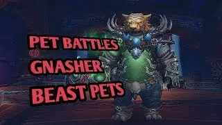 How to beat Gnasher using beasts - world of warcraft