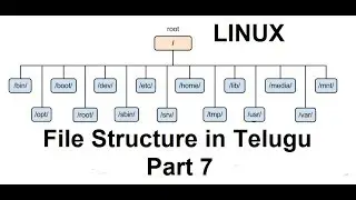Linux Hierarchy File Structure in Telugu Part 7 | Linux Tutorial for beginners