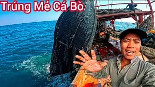 Chuyến Biển Cuối Năm