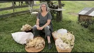 Què fem amb la llana de les ovelles?