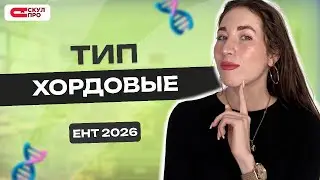 Тип Хордовые для ЕНТ 2026 по биологии | СКУЛПРО