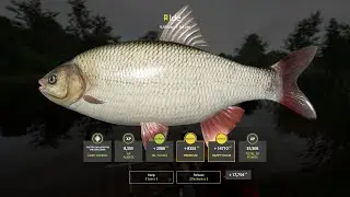RF4 Copper lake / Very rare species and Ide Trophy fish