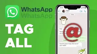 How To Tag Everyone in Whatsapp Group (2025)