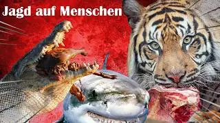 Diese Tiere fressen Menschen