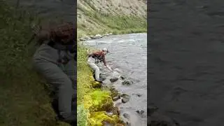 Arctic GRAYLING In Raging Alaskan River! #grayling #trout #fish #fishing #alaska #catchandrelease