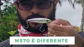 Diferentona! MS70 Stick, da Deconto.