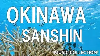 🪕Okinawa Sanshin 🪕music with sound of  ocean waves  Healing Instrumental🎙Japanese traditional music🎙