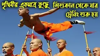 পৃথিবীর সেরা কুংফু ট্রেনিং | শাওলিন মঙ্ক | shaolin kung fu training | sommohon | সম্মোহন