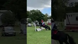 XC warm up jump #horse #equestrian #learningtoride