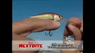 Walleye Crank Baits - The Next Bite - Hot Topics - Season 3