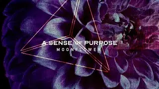 A Sense of Purpose - MOONFLOWER (Official Stream Video)