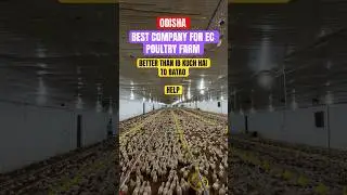 Suggest Best Company for EC Poultry Farm for Odisha State || #chickenfarm #prkengineers