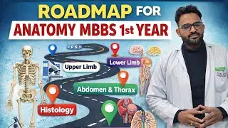 Anatomy Made Easy | MBBS 1st Year Strategy ??       Anatomy kaise cover kre??