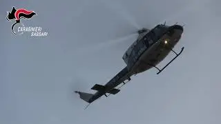 Carabinieri di Olbia. Operazione antidroga. Eseguite nel nuorese 9 misure cautelari  30 09 21