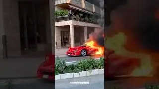 FERRARI F40 BURNS DOWN IN MONACO😱THE LEGENDARY STRAIGHT PIPED F40 FROM MONACO #ferrari #f40 #monaco