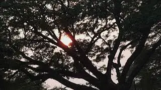 Ghar kab aoge / TABLA 