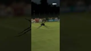 Jong AZ raakt verstrikt in het web van RKC en verliest 🕸️🕷️