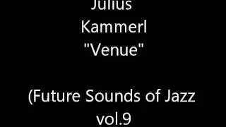 Julius Kammerl - Venue