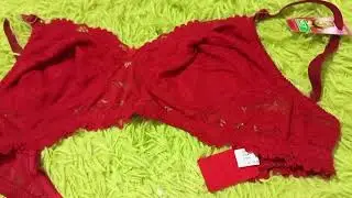 Full net bra available