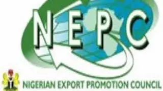 REVEALED:Nigeria loses $4.5bn in non-oil export due to FX crisis Nonye Ayeni Executive Director NEPC