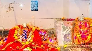 जय माँता दी फ्री सेवा जनकल्याण