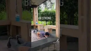 Beginner to Advanced: BURPEE & BOX JUMP