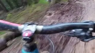 Root Manoeuvers-full