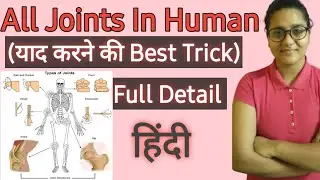 Types Of Joint in Hindi | Human Body | Skeletal System Joints