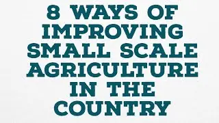 8 WAYS OF IMPROVING SMALL SCALE AGRICULTURE IN THE COUNTRY