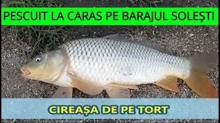 Pescuit baraj Solesti VASLUI la crap si caras