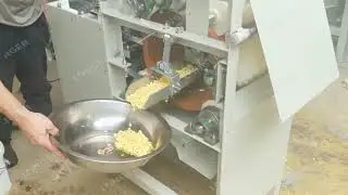 Wet Soybean Peeling Machine / Soya Bean Skin Peeler Machine