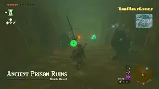 Ancient Prison Ruins BubbulFrog Location : Zelda Tears of The Kingdom.