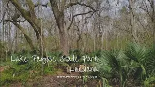 Lake Fausse State Park | Louisiana | Relaxing Close t Home