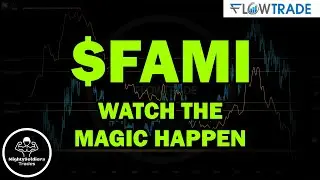 Watch the magic happen $FAMI - Flowtrade
