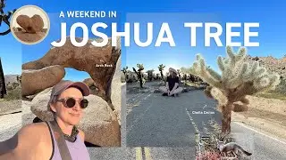 A Weekend in Joshua Tree