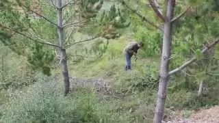 Environmental Tree Planting Day