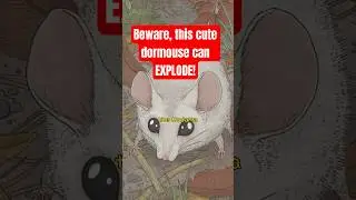 Kodama nezumi: the adorable mice that burst in anger! #legend #yokai #mythology