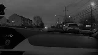 car rides with our dog