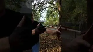 ASL 3UNDER VS SPLIT FINGER