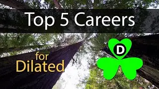 Five Careers for Dilated Personality Types on Tara&rsquo;s Triangle