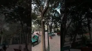 Fast Nuces Lahore #december #viral #vibes #trending #winter #song #coffee #satisfying 🫶🏻&hearts;️