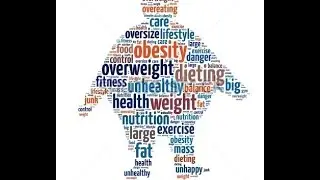 The Banting Lifestyle - My Journey by  Nico Kleynhans