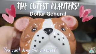 Adorable Planters at Dollar General