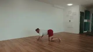 NEGATIVE PUSH UP