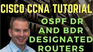 Назначенные маршрутизаторы Cisco OSPF DR и BDR