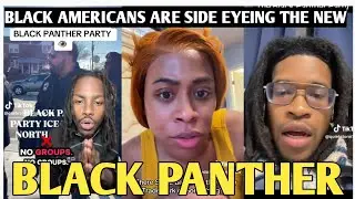 BLACK AMERICANS REACT TO NEW BLACK PANTHER COSPLAYERS: &ldquo;THEY &rsquo;re NOT LIKE US &rdquo;