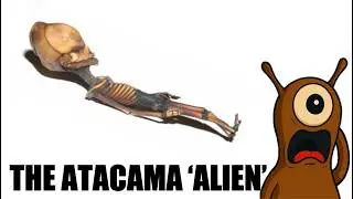The Atacama Alien