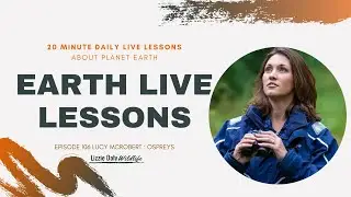 Earth LIVE Lesson with Lucy McRobert : Ospreys - amazing adaptations and marvellous migration!