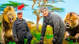 Нерассказанная тайна львов-людоедов Цаво.